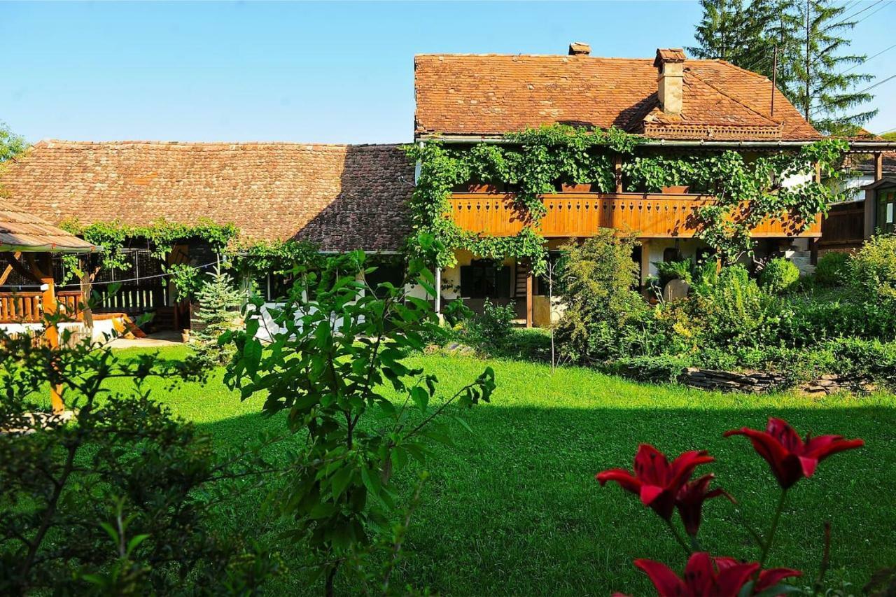 Transylvanian Country House Vetca Exterior photo